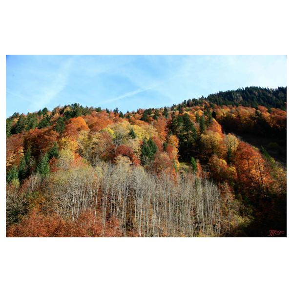 PHOTO84, CLUB, 84 , LUBERON